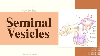 How to Say Seminal Vesicles In British English [upl. by Marrissa]