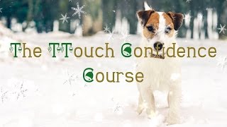 Day 8 The TTouch Confidence Course [upl. by Ahsineb]