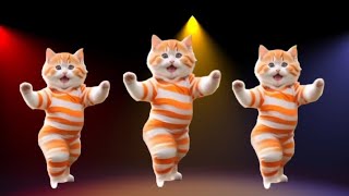 😻Cat videos funny dance 💃😃Videos for catsvfunnycats dancingcat catlovers furrycornerz [upl. by Summer]