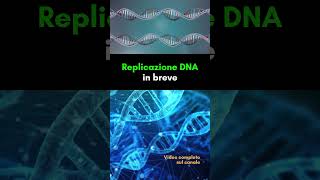 Come avviene la duplicazione del DNA in breve [upl. by Daniella606]