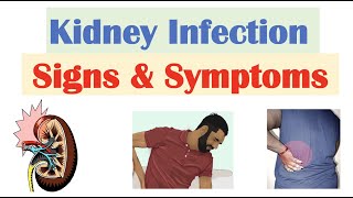 Kidney Infection Pyelonephritis Signs amp Symptoms  amp Why They Occur [upl. by Castillo]