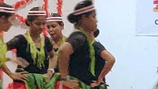 Nicobari dance at TGCE port Blair [upl. by Lehteb]