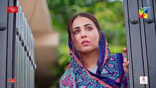 Parizaad  Episode 19  Best Moment 05  HUMTV Drama [upl. by Moreland]