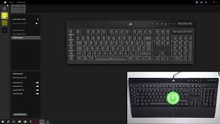 How to Change Brightness Level on Corsair K55 Pro via App [upl. by Winna]