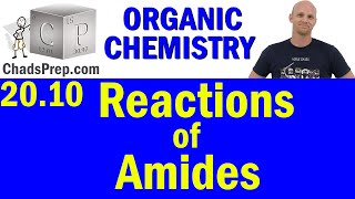 2010 Synthesis and Reactions of Amides  Organic Chemistry [upl. by Anit]