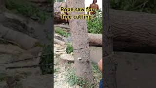 Rope saw for tree cutting florida usa mini chainsaw treesaw woodworking wood woodworkingtool [upl. by Earissed]