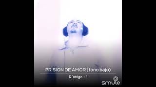 Prision de Amor karaoke cover [upl. by Audre]