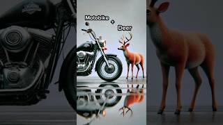 Motorbikedeer 🦌🛵ai comedy howtomakegolgappa coversong animal funny shorts [upl. by Drobman]