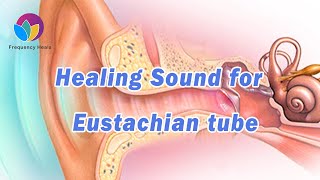 Healing Sound for Eustachian Tube Dysfunction  Relieve Ear Pain amp Reduce Hearing Difficulty [upl. by Criswell]