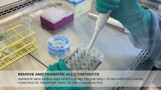 Transfer spheroids from microcavity plates [upl. by Elpmid]