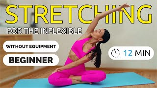 BEGINNER FLEXIBILITY ROUTINE  12 min STRETCHING FOR THE INFLEXIBLE  Stacy Gora [upl. by Sotnas185]