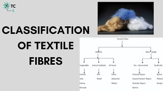 Classification of Textile Fibres Explained [upl. by Haywood]