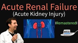 Acute Kidney Injury  Acute Renal Failure Explained Clearly  Remastered [upl. by Jacqui]