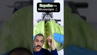 Repolho no Microscópio  Você gosta desse vegetal [upl. by Bayless]