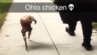 Ohio Chicken 💀 [upl. by Zigrang725]