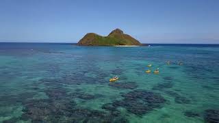 Kailua Kayak Tour [upl. by Aisirtap586]