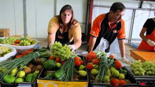 Food Within Ltd  School for Social Entrepreneurs SSE Australia [upl. by Michale]