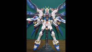 RG：ZGMF‐X20A STRIKE FREEDOM GUNDAMス―パ―ドラグーン展開状態 [upl. by Ecinue]