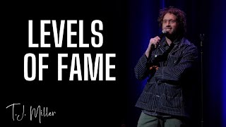 Levels of Fame  TJ Miller [upl. by Ileana]