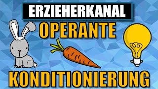 Operante Konditionierung  das operante konditionieren nach Skinner einfach erklärt ERZIEHERKANAL [upl. by Prudi]