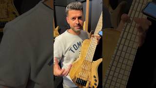 Adamovic introduces THE LIGHT Concept Bass guitarsummit [upl. by Tsew]