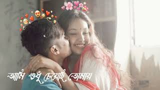 Ami sudhu Cheyechi Tomay আমি শুধু চেয়েছি তোমায়।Lofi song [upl. by Notloc21]