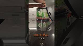 Day 48 Fishless Cycle fishtank aquariummaintenance newbie fishhobbyist dailyvlog [upl. by Nayhr]