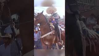 Charro Bailando Su Caballo telepaisashorts [upl. by Yrroc]