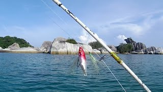 MICRO JIGSABIKI DI SUKAI IKAN KARANG DANGKAL [upl. by Tnahsarp]