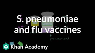 Streptococcus pneumoniae and flu vaccines  Respiratory system diseases  NCLEXRN  Khan Academy [upl. by Therron427]