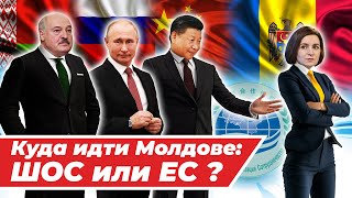 ШОС или ЕС Альтернатива еврореферендуму для Молдовы [upl. by Dilaw]