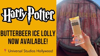 Harry Potter Butterbeer Ice Cream Bar is Here 🍺 [upl. by Boru]