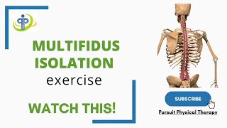 Multifidus isolation exercise  Pursuit Physical Therapy [upl. by Attenaj]