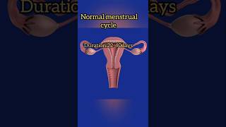 What is Normal menstrual cycle Normal periods menstruation periods health menses shorts [upl. by Klos]