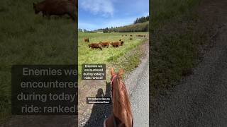 Trail Riding Enemies Ranked horses horseriding comedy farm [upl. by Loralyn707]