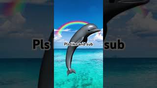 Symphony dolphin pls like and sub 😀😀 [upl. by Un]