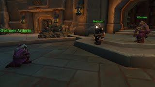 Earthen Allied Race quests WoW War Within [upl. by Herwin]