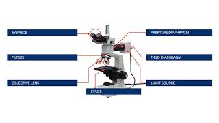 ASM Digital Short Course Metallographic Techniques Part 2 [upl. by Eiliab]