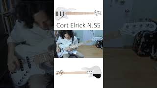 Cort Elrick NJS5  1 Minute Bass Test [upl. by Varipapa]