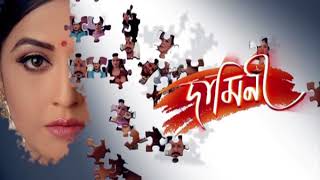 Damini  দামিনী  16th Aug 2018  Full Episode  Episode No 04 [upl. by Halilad]