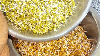 ಕಾಳು ಮೊಳಕೆ ಬರಿಸೋ ಸುಲಭ ವಿಧಾನ how to make sproute in homesprouts  molake kalu sprouting seeds [upl. by Eelrac]