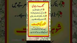 سمجھدار بیوی muslimquotes islamicquotes urdupoetry islamics islamicstatus shorts youtube [upl. by Ainnos516]