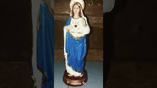 Immaculate Heart of Mary [upl. by Eadrahc]