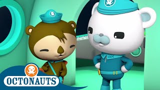 Octonauts  Shellington and Captain  Cartoons for Kids  Underwater Sea Education [upl. by June295]