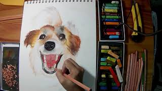 Drawing an Aspin Philippine dog using Mungyo Soft Pastels [upl. by Monahan968]