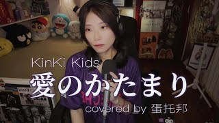 愛のかたまり  KinKi Kids  cover by 蛋托邦 [upl. by Alleirbag]