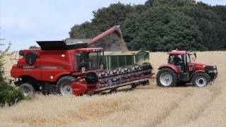 Roggen dreschen 2014 mit Case IH Axial Flow 9120 Kurz video [upl. by Sirtaeb298]