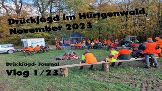 Drückjagd im Hürtgenwald November 2023  DrückjagdJournal  Vlog Folge 0123 [upl. by Holt]