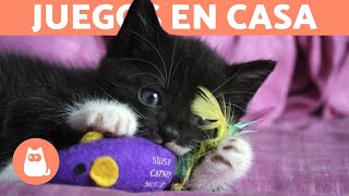 5 JUEGOS para ENTRETENER a tu GATO en CASA 🐱 [upl. by Oaks490]