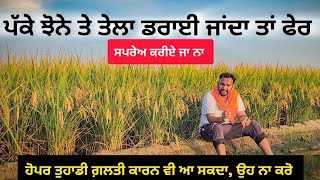 ਹੁਣ ਤੇਲਾ ਕੀ ਨੁਕਸਾਨ ਕਰੂ Paddy BPH and wbph control [upl. by Els]